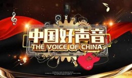 选手微博爆料好声音视频,独家视频揭秘精彩瞬间