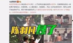 武成侯最新爆料消息视频,揭秘幕后真相，带你走进事件核心